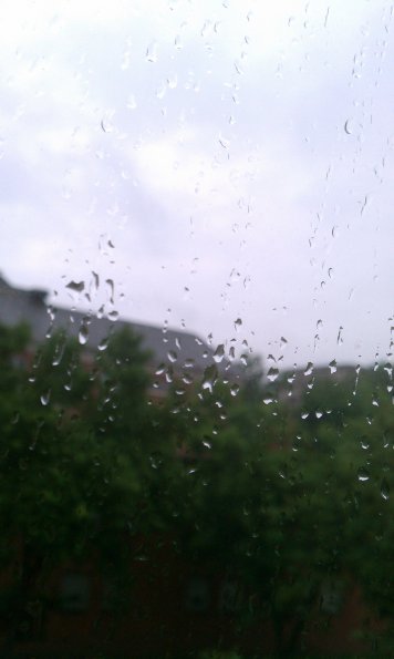 Rainy Window