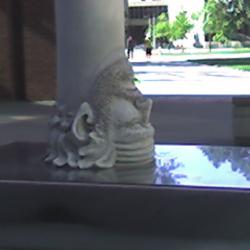 Head