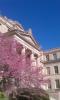 Liberal Arts
