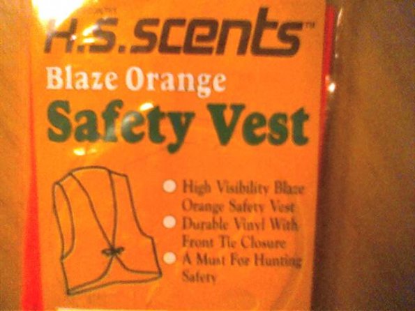 Orange safety vests... On sale for 10¢ at Wal-Mart
