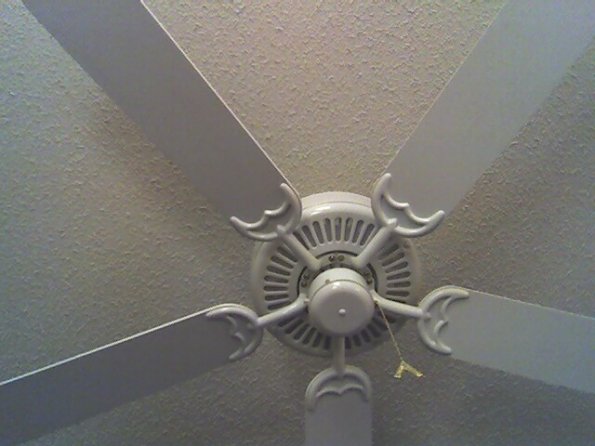 Fan
