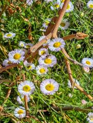 20260322_213457_69e82ba1dc656